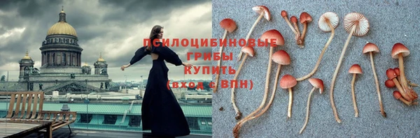 МДПВ Абдулино