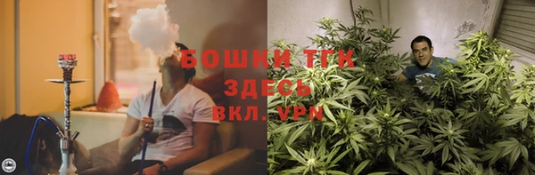 спиды Абаза